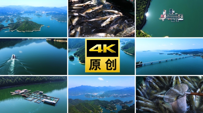 杭州千岛湖航拍渔排养鱼捕鱼