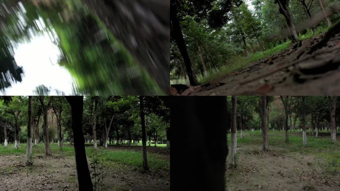 无人机树林炸机画面共7段素材