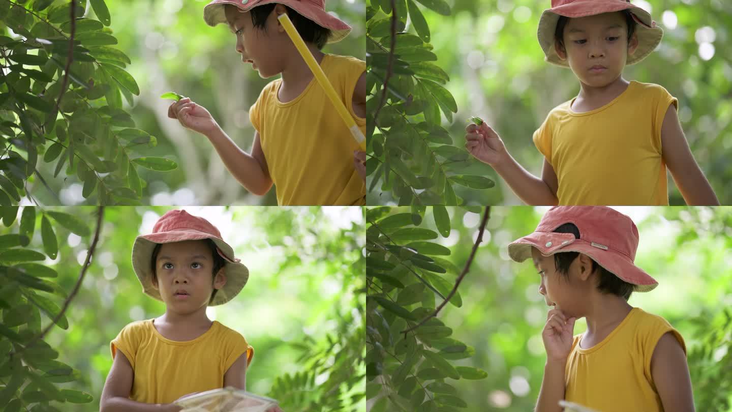 亚洲男孩探索自然界中的植物和昆虫生活
