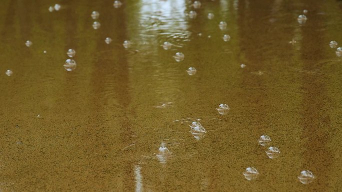 下雨雨滴落在水里起水泡升格拍摄