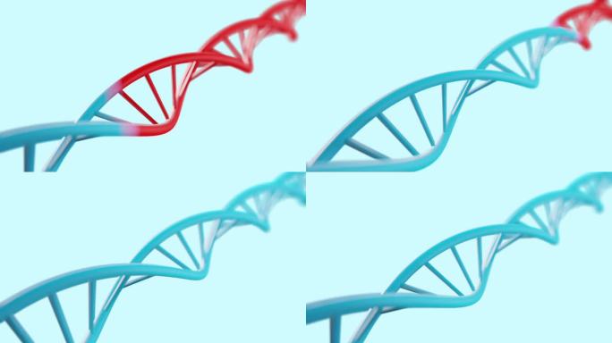 修复感染损伤的DNA