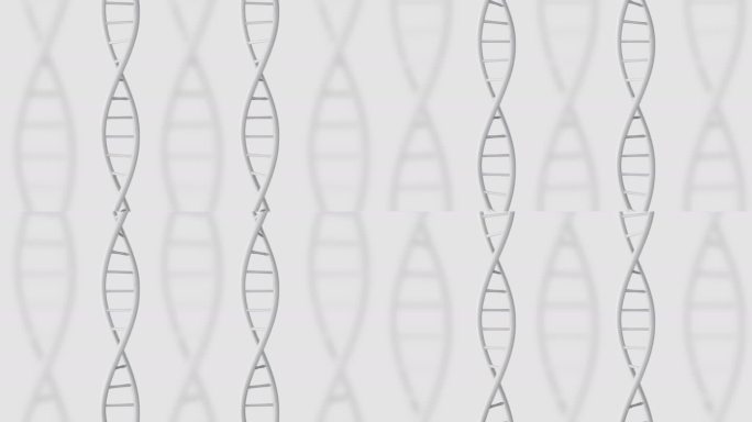 白底DNA星形修饰基因突变