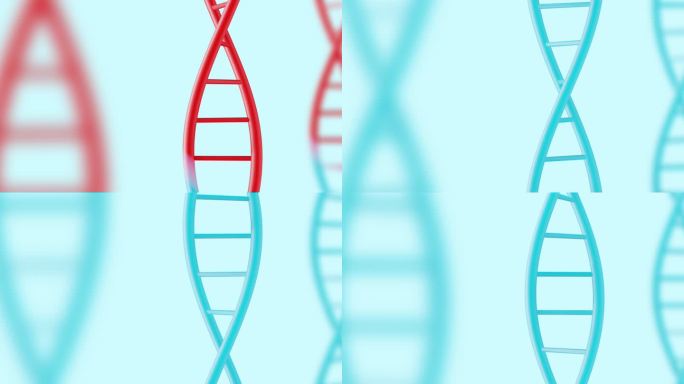 修复感染损伤的DNA