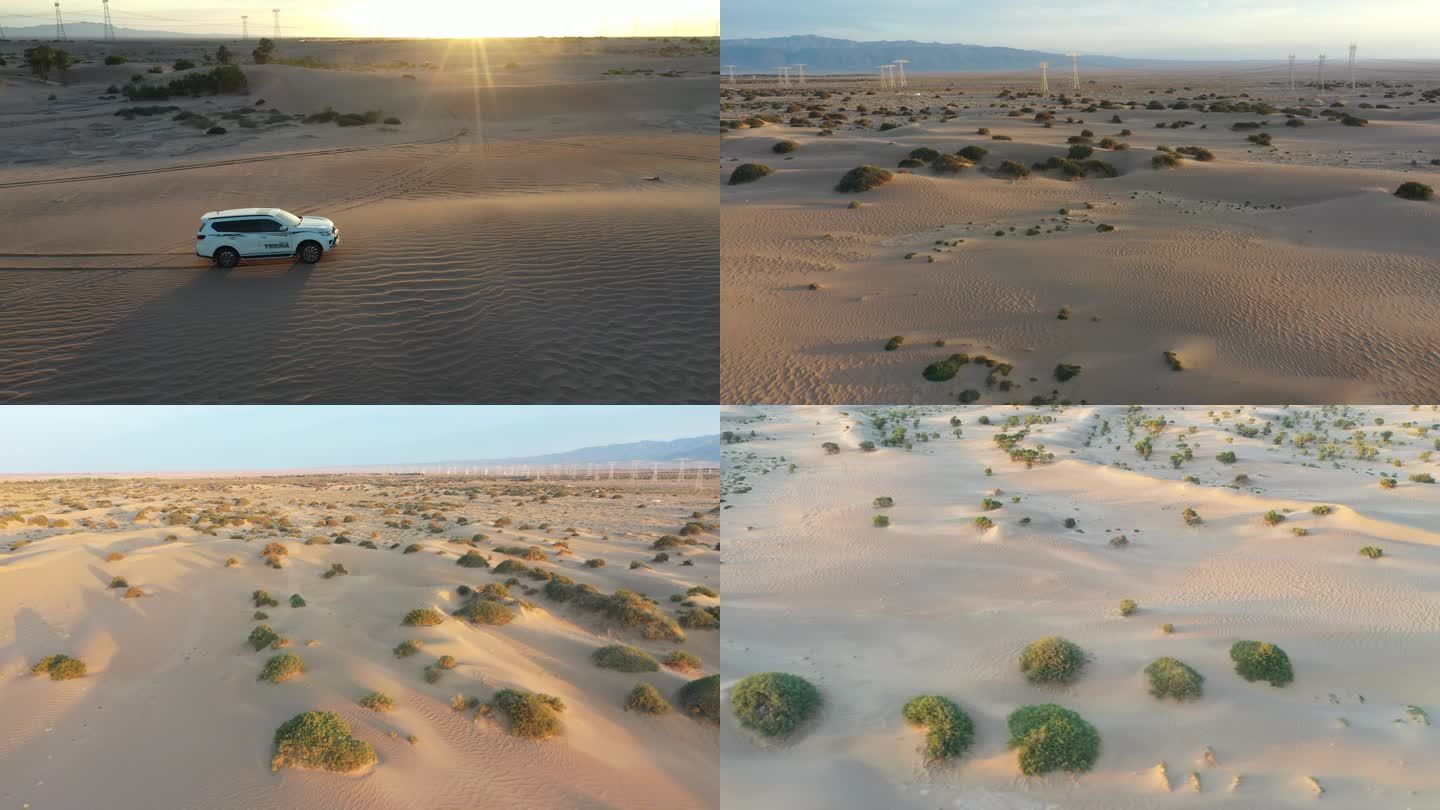 越野车沙漠保护区