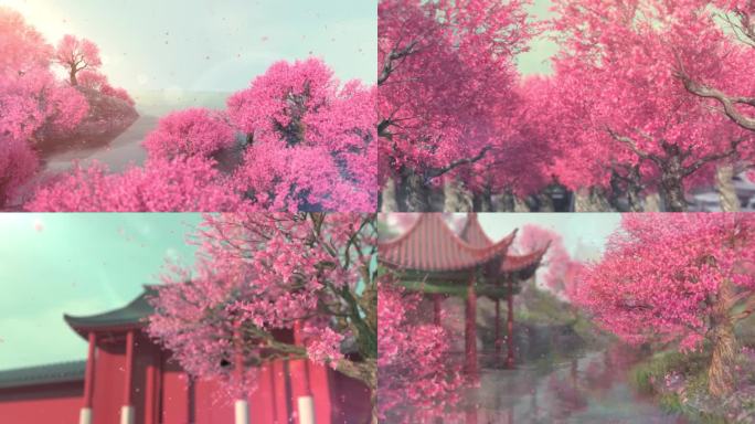 桃花笑歌曲背景