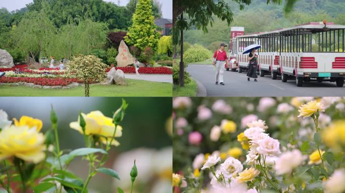 花舞人间 斑竹园 梨花溪