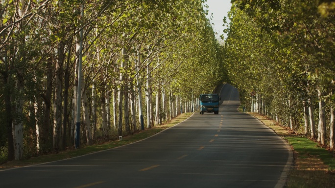 乡村道路上的小货车