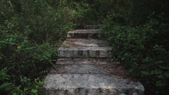 森森林大自然流山川小石道