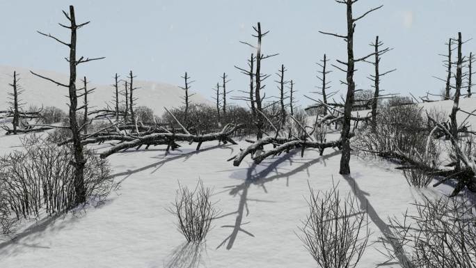 风雪中的枯林