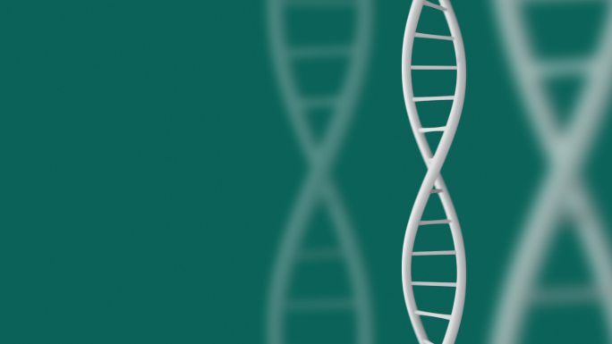 绿色背景上的DNA