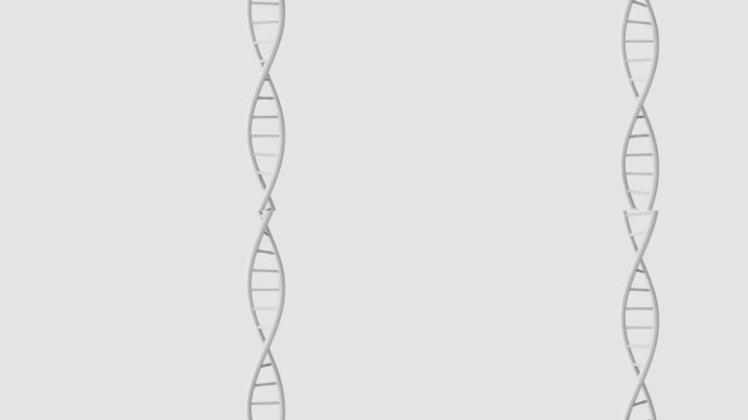 白底DNA3d动画