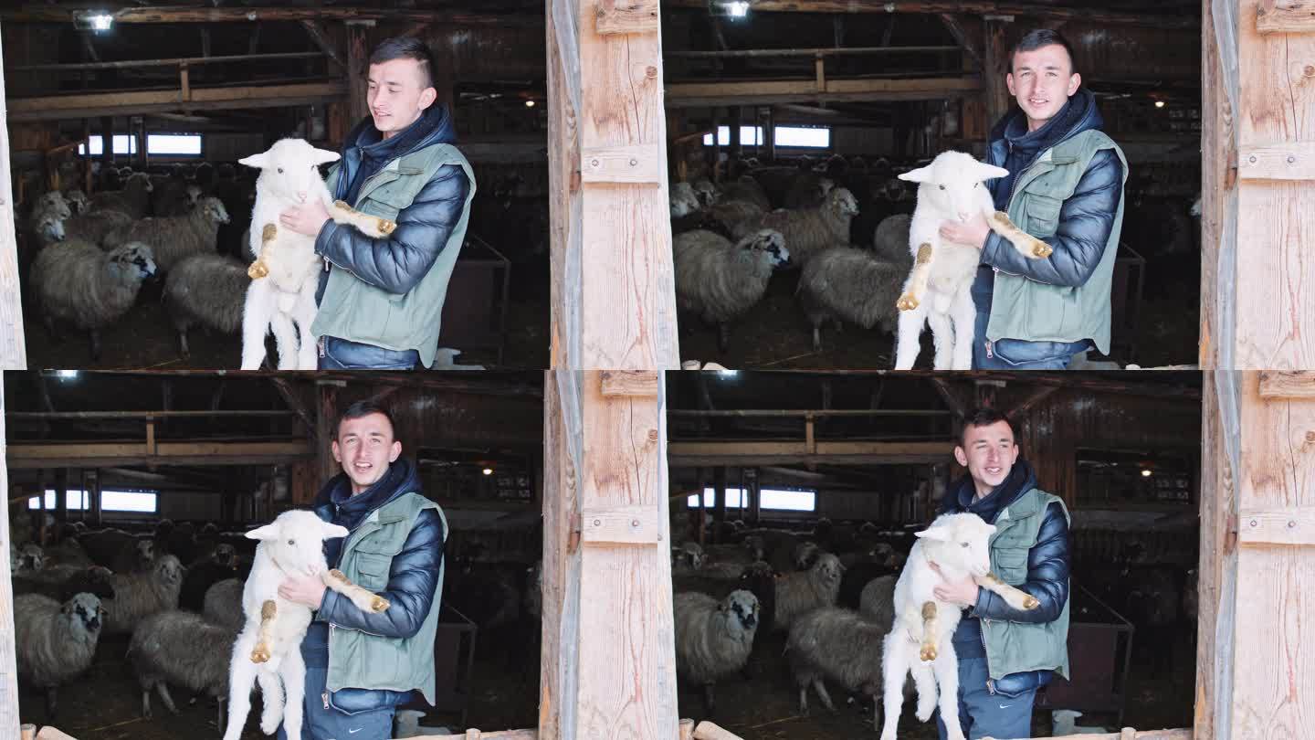 养羊业。年轻的农民在牧场里展示他的羊群。