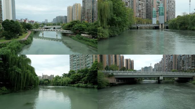 城市河到生态 江安河 河流穿过城区 河道
