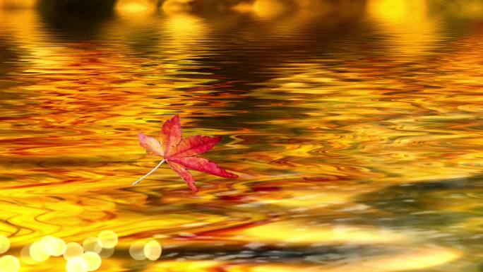 唯美金色水面波纹流淌树叶飘落歌舞朗诵背景
