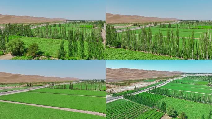 新疆吐鲁番库木塔格沙漠绿洲航拍