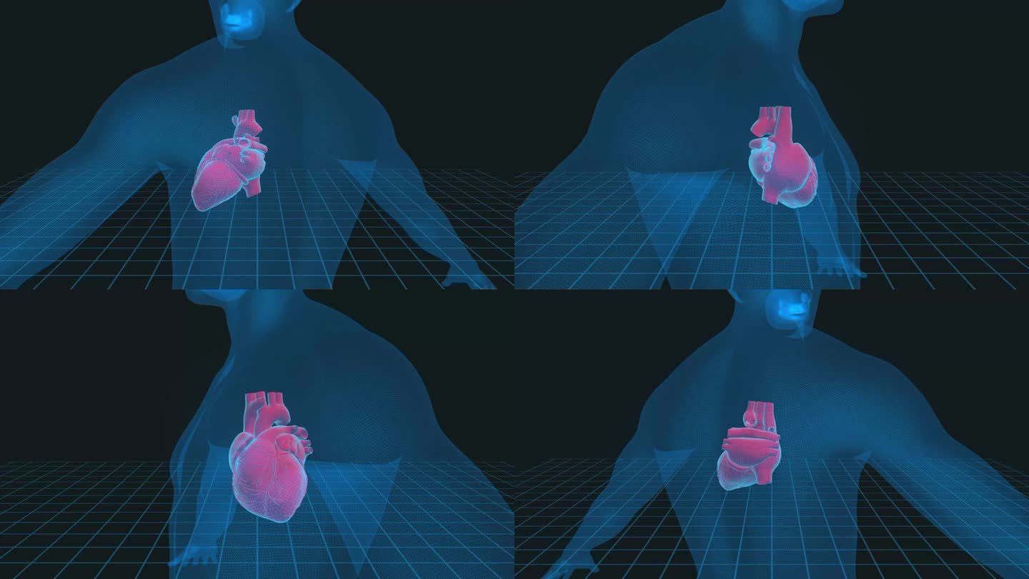 人体心脏3D插图-4K循环医学背景