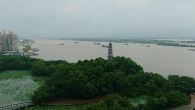 4K佛山高明区灵龟塔、美的鹭湖航拍全景