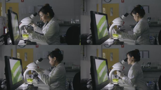 实验室微生物学家研究所科研人员生物技术