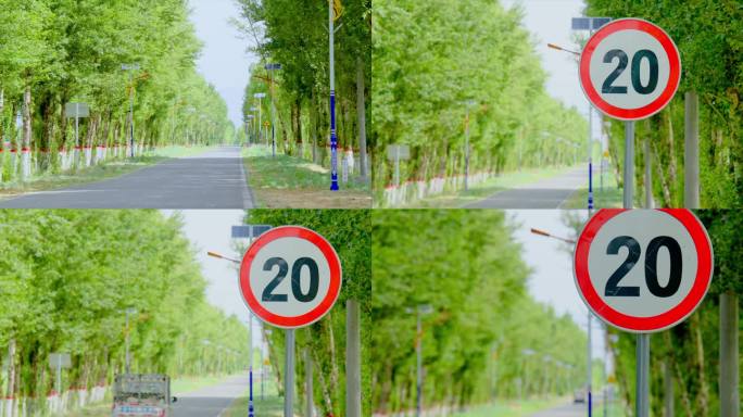 乡村道路限速标志