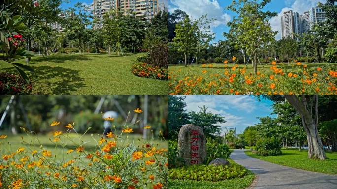 广州天河公园西北角-002