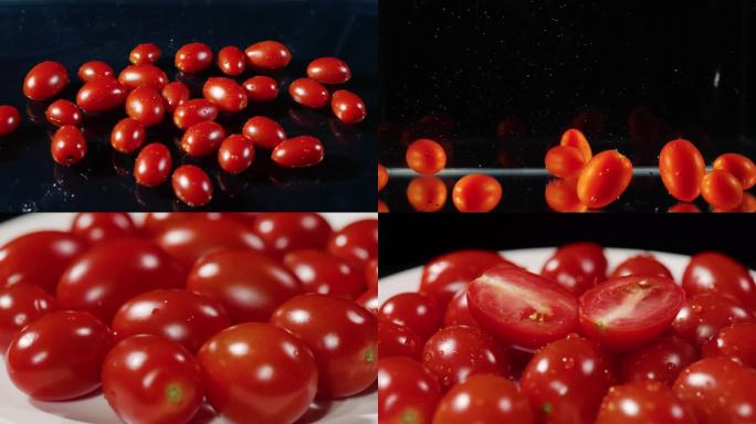 4K原创小西红柿素材