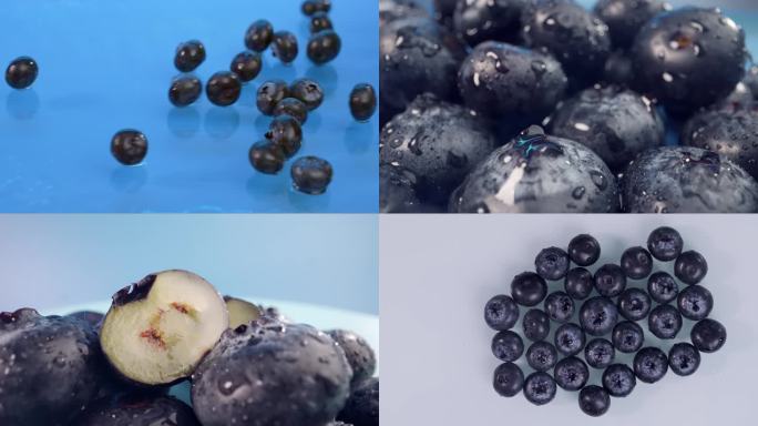 蓝莓4K实拍