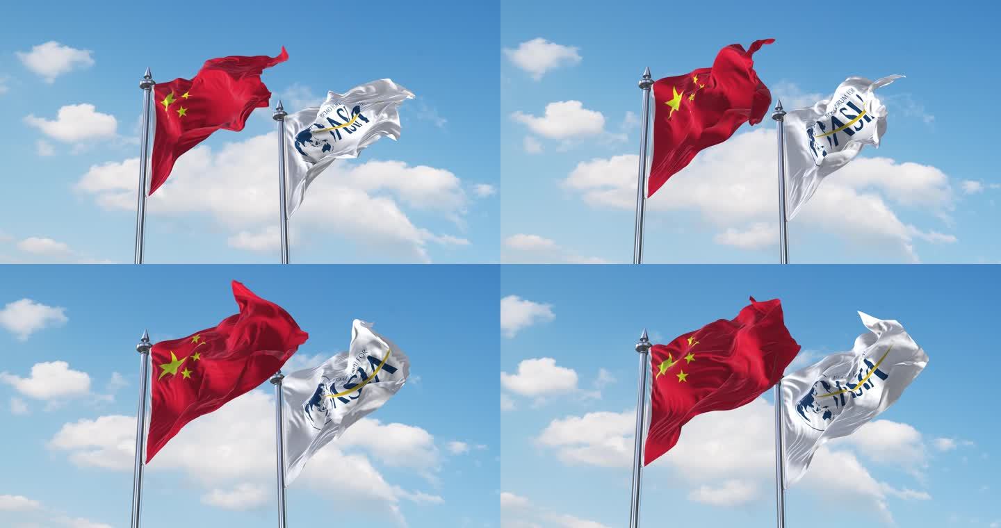 中国- 博鳌论坛蓝底旗