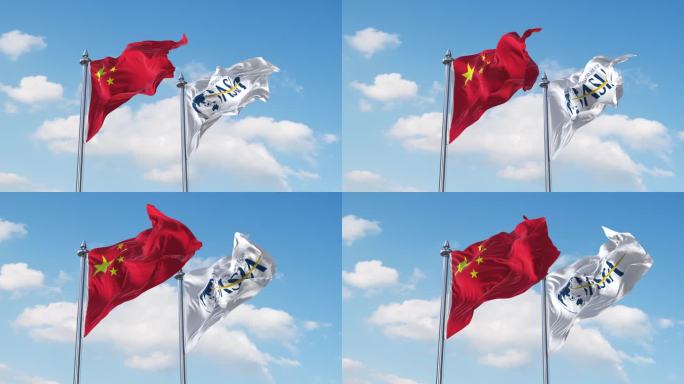 中国- 博鳌论坛蓝底旗