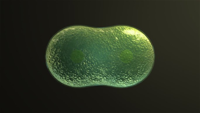 3D绿色细胞分裂动画01