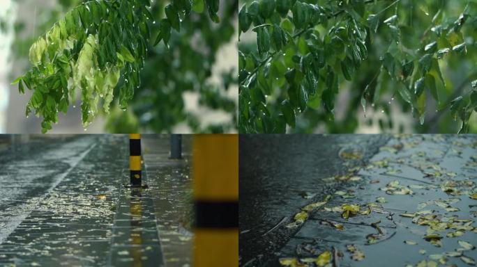 雨天街道 雨天落叶