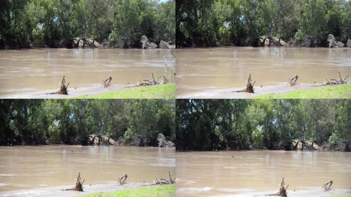 漂浮原木洪水中的河流