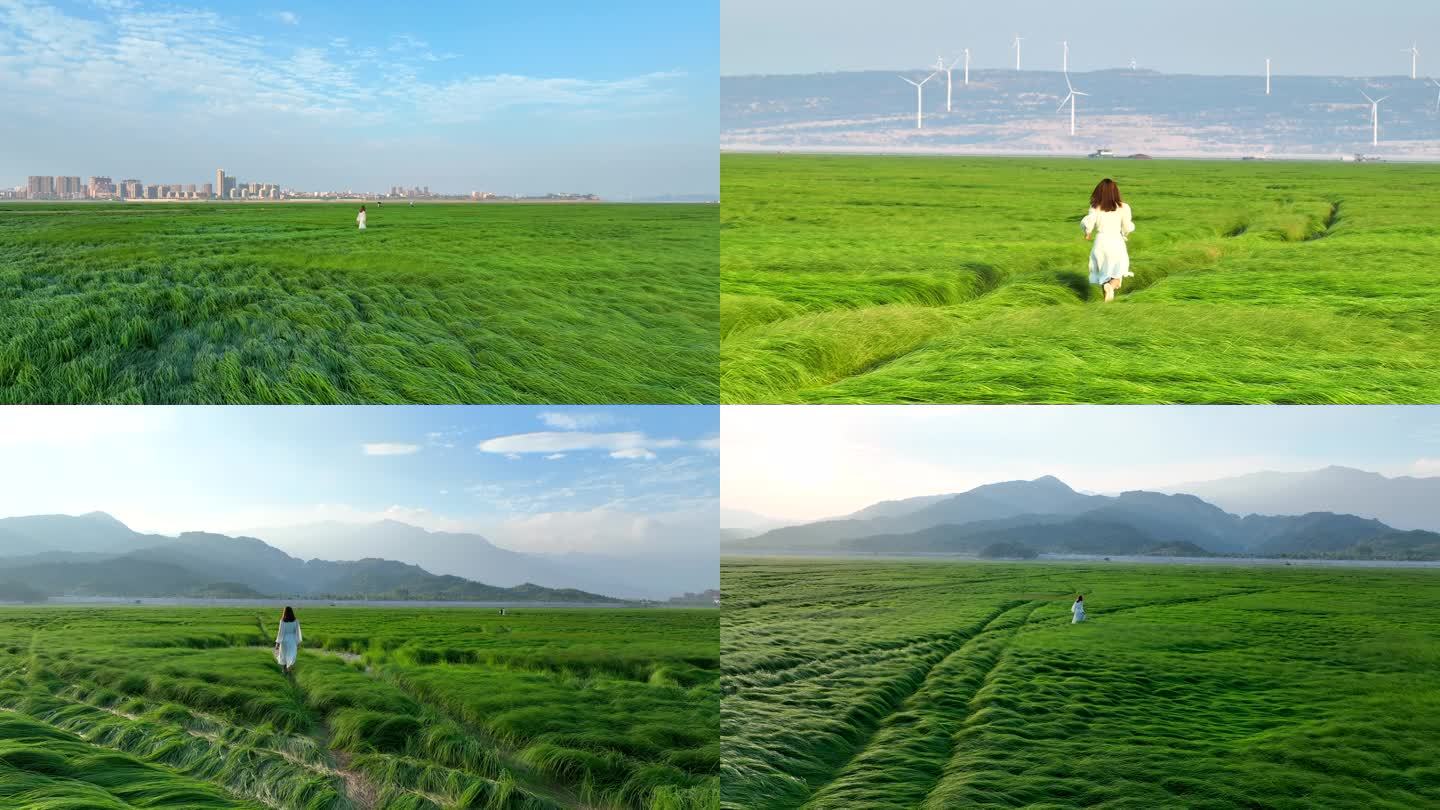 鄱阳湖大草原4k