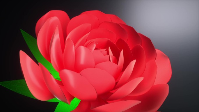 红色玫瑰花朵开花绽放金色粒子美容护肤素材