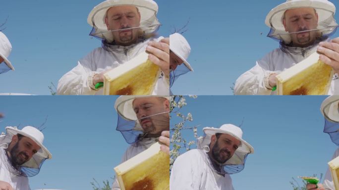 养蜂人在养蜂场与蜜蜂一起工作