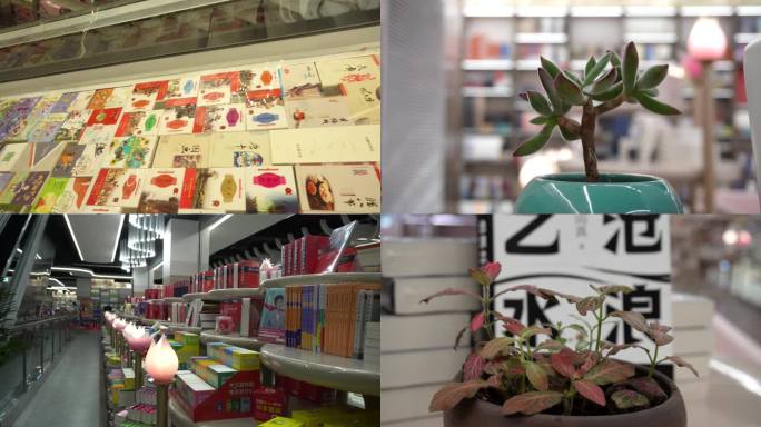 书店中的小绿植温馨惬意的读书环境