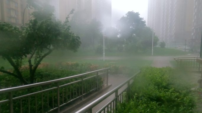 雨 大雨 大暴雨 暴雨 坏天气 狂风