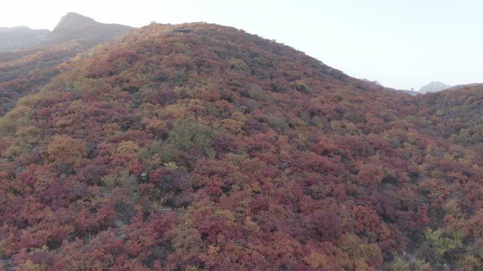 秋季坡峰岭 航拍