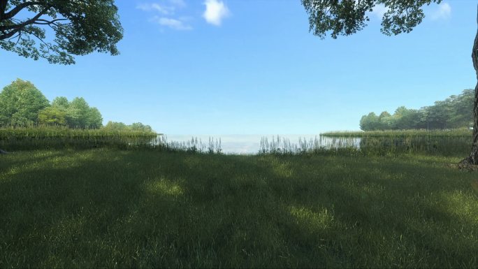 湿地公园 湖边 树林