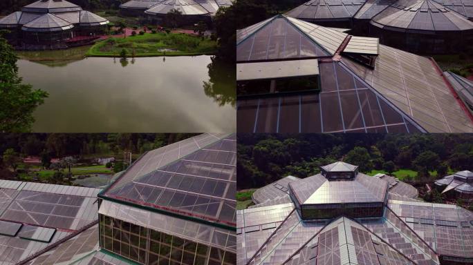 广州华南植物园木棉花植物园航拍4K视频