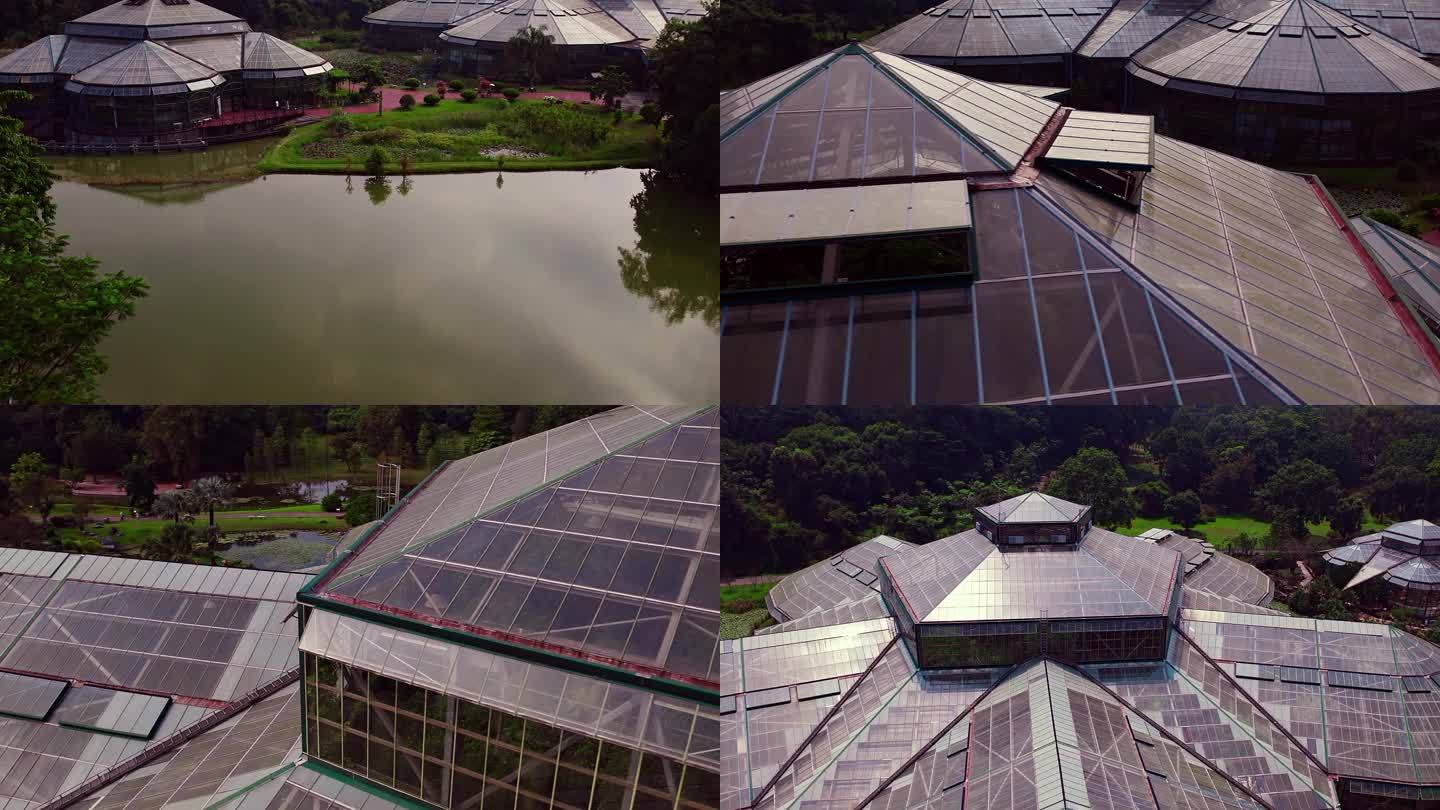 广州华南植物园木棉花植物园航拍4K视频