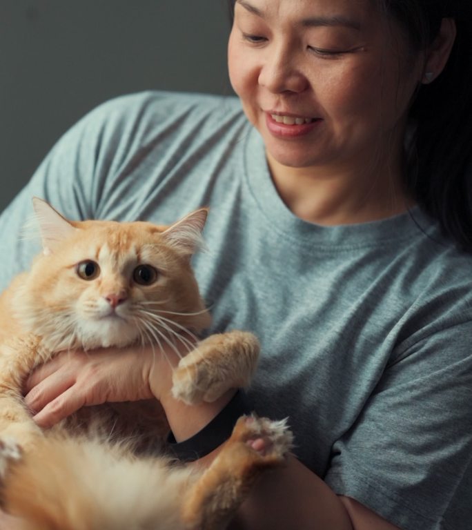 家里养着可爱猫的女人