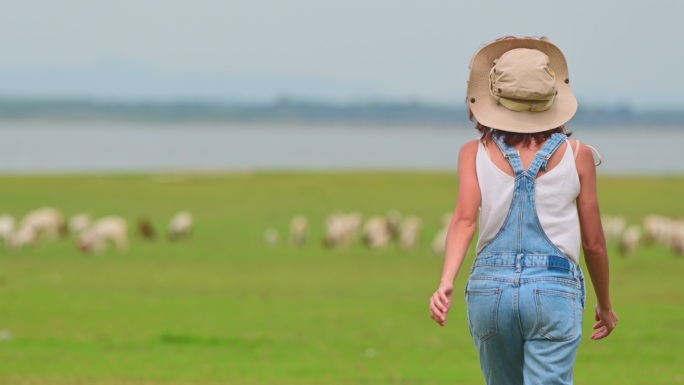 生活农场女人奔跑羊群草原放牧