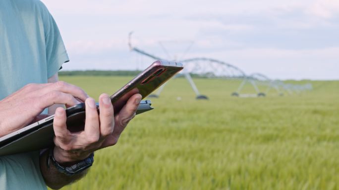 智能农业。农民使用数字平板电脑远程灌溉小麦作物。