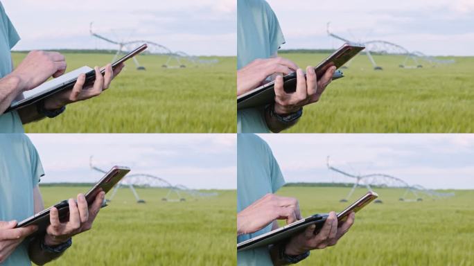 智能农业。农民使用数字平板电脑远程灌溉小麦作物。