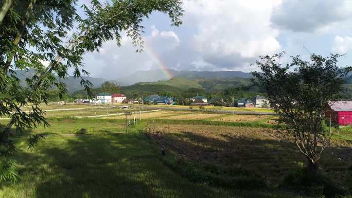 西双版纳农村稻田里的彩虹1