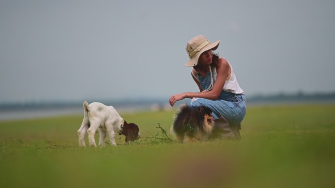 现场直播悠闲生活经济生活