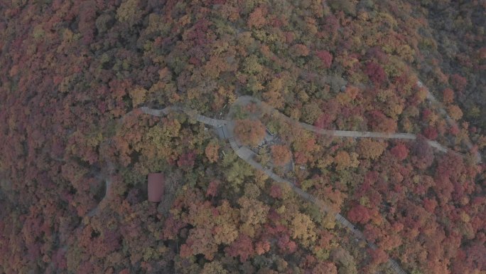 坡峰岭 秋季航拍 山峦空镜