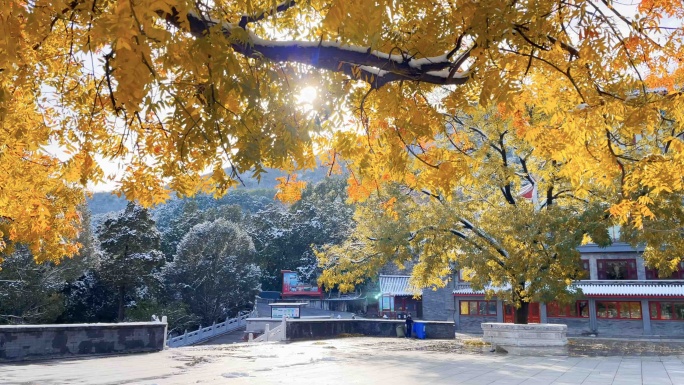 北京西山八大处风景区初雪风光