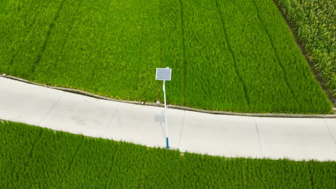 太阳能路灯