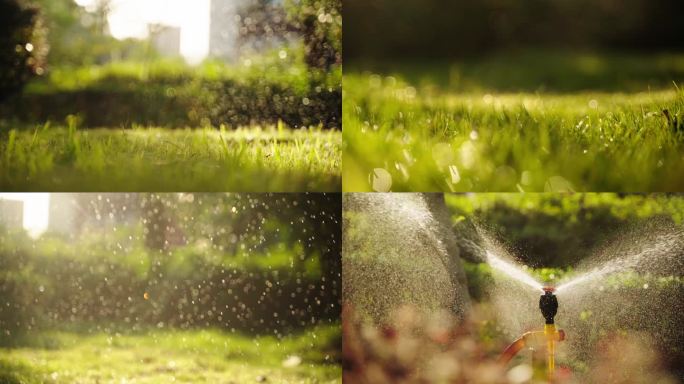草地洒水写意空镜实拍4k